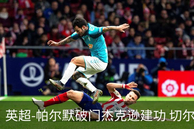英超-帕尔默破门杰克逊建功 切尔西2-1纽卡斯尔